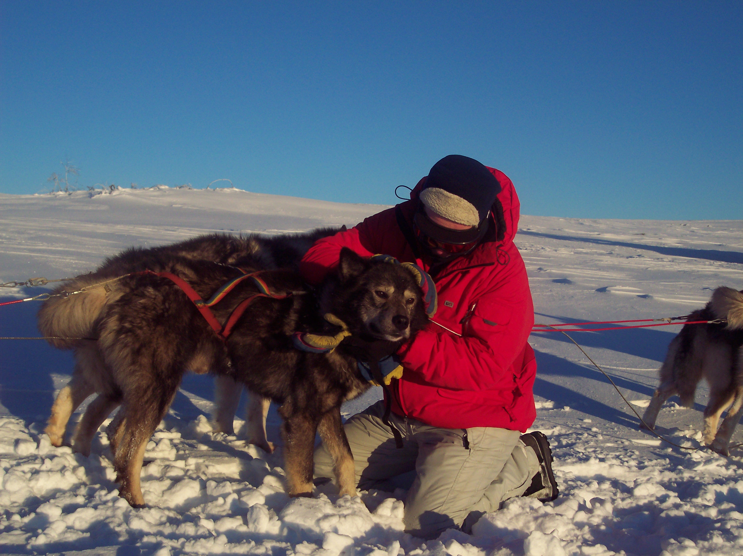 Schweden08.JPG (2580 x 1932)